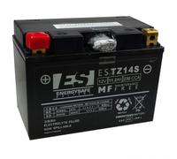 Bateria YTZ14-S ESTZ14-S sellada precargada sin mantenimiento EnergySafe