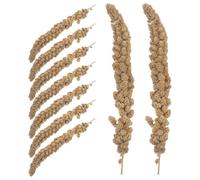BATHVEVE Golosinas para Loros y Cacatúas Mijo Natural de 500g para Entrenamiento y Nutrición Rica como Merienda Saludable