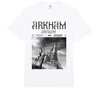 Batman Arkham Asylum Cover Comfort Colors Adult Heavyweight T-Shirt