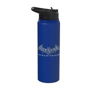 Batman: Arkham Origins Logo Stainless Steel Insulated Water Bottle