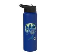 Batman Heed The Call Bat Logo Stainless Steel Insulated Water Bottle