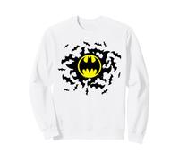 Batman Logo and Bat Swarm Sudadera