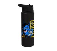 Batman | Mercancía oficial de la película Batman & Robin | WBUBMR01 Stainless Steel Insulated Water Bottle
