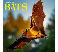 Bats 2026 Calendar: Mysterious Creatures of the Night