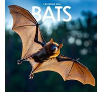Bats 2026 Calendar: Night Flyers and Guardians of the Sky