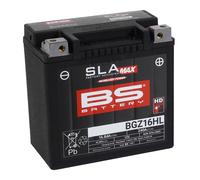 BS-BATTERY Batería SLA-MAX BGZ16HL 12V 14Ah Negro
