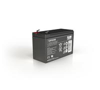 Batterie FIAMM 12 V 9 Ah 12FGH36