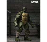 Battle-Damaged Last Ronin. Teenage Mutant Ninja Turtles: The Last Ronin