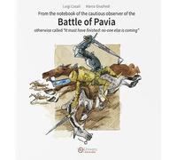 Battle of Pavia. Otherwise called «It must have finished: no-one else is coming»