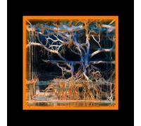 Batu - Question Mark [Vinilo]