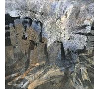 Baula - Heavy Heart, No Tears [Vinilo]