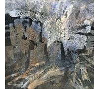 Baula Heavy Heart, No Tears (Vinyl) 12" Album