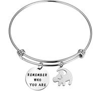 BAUNA Pulsera con texto en inglés "Remember Who You", regalo de león para un amigo, Mental