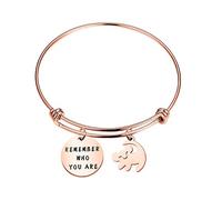 BAUNA Pulsera inspirada en la pulsera Remember Who You are - Regalo para un amigo, One Size, Acero inoxidable