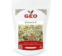 Bavicchi Semillas para Germinados de Cebollino Chino Bio - 150 g Bavicchi