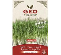 Bavicchi Semillas para Germinados de Espelta Bio - 70 g Bavicchi
