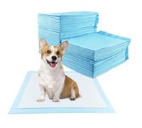 Baxcdyswe 100 Unidades Empapadores Perros, 60 × 60 cm Almohadillas Perro para Puppy Pads en Casa WC Perros Alfombrillas Higiénica Desechables para Mascotas, Superficie de Secado Rápido, Transpirables