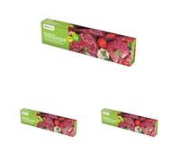 Bayeco Siente tu Hogar - Medium Freezer Bags - Airtight Zip Closure - Easily Reerve Your Food - Comfortable Dispenser - Pack of 15, Blue, 25 x 30 cm (Paquete de 3)