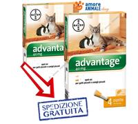 2 Paquetes - Bayer Advantage 40 Mg - Para Gato Inferior A 4 Kg - 4 Pipetas