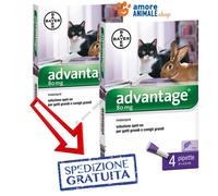 Bayer Advantage 80 Mg Para GATOS Más De 4 Kg - 4 Pipetas - También Para CONEJOS