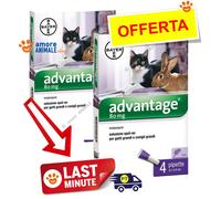 Bayer Antiparasitario Advantage 80 mg para gatos y conejos más de 4 kg - 4 pipetas