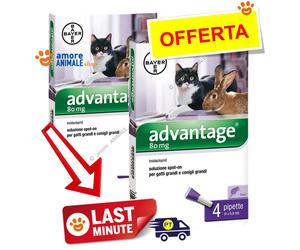 Bayer Advantage Para Gato Y Conejos Más De 4 Kg 4 Pipetas - Antiparasitario