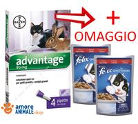 Bayer Antiparasitario Advantage 80 mg para gatos y conejos más de 4 kg - 4 pipetas