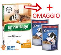 Bayer Advantage para Gatos Y Pequeño Animales Fino 4 KG 4 Pipetas 2 Felix )