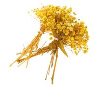 BAZEITFLOW 3 Ramos de Flores Secas Gypsophila Amarillas para Decoración Ramo de Flores de Aliento de Ñiño Natural sin Agua ni Mantenimiento Adecuado para Bodas Hogar y Jarrón de Mesa