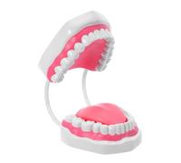 BAZEITFLOW Modelo de Diente Blanco 6 Veces Ampliado para Enseñanza, Herramienta de Limpieza Bucal Educativa para Estudiantes y Profesionales, Modelo de Exhibición para Estudio y Práctica Oral