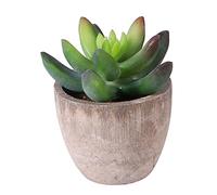 BAZEITFLOW Planta Artificial Maceta Simulada Verde Bonsái Falso para Decoración de Escritorio Oficina Hogar y Jardín Adorno de Mesa Realista y Duradero