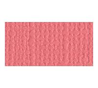 Bazzill Cartoncini 12 "X 12"-Flamingo/Tela