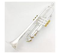 BB Trumpet Plateado Plateado Gold Key Instrumentos Música Trompetas Profesionales Accesorios Para Boquilla Incluido Caja