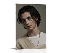 BBAUER Póster decorativo de Star Timothée Chalamet en lienzo, póster de pared e impresión artística moderna para decoración de dormitorio familiar, 20 x 30 cm