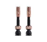 BBB BTI-166 Tapón de núcleo para Bicicletas, Conjunto de válvula sin cámara, Compatible con válvulas Presta, inflado por Aire sin obstrucciones, manejo cómodo de la presión de Aire, no