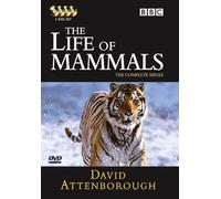 BBC Life Of Mammals [DVD]