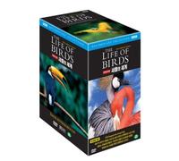 BBC THE LIFE OF BIRDS (10 DISC) (Region code : All) (Korea Edition)