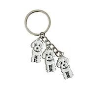 BbearT® Llavero de identificación de perro, bonito llavero de identificación de perro, llavero de metal para perro, llavero para coche, bolsa de cumpleaños (caniche blanco)
