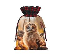 BBEXJIGY Bolsa de almacenamiento con cordón estampado búho lindo de Navidad