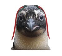 BBEXJIGY Bolsa de almacenamiento de poliéster con cordón de Navidad con estampado de pingüino