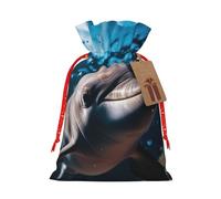 BBEXJIGY Bolsa de regalo de Navidad de poliéster con cordón, diseño de delfines, tortuga marina, tiburón, pulpo, arrecife de coral, 1 unidad