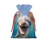 BBEXJIGY Divertida bolsa de regalo de poliéster con estampado de delfín, 1 pieza, bolsas de regalo de Navidad