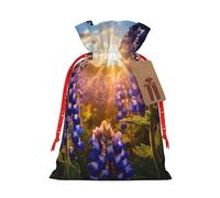 BBEXJIGY Texas Bluebonnets Scenery - Bolsas de regalo de poliéster con cordón, 1 unidad, bolsas de regalo de Navidad