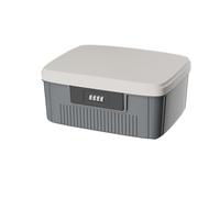 BBTISG Caja con Cerradura, Caja de Almacenamiento de Medicamentos de 2 Capas Contenedor con Cerradura para Alimentos, Prisión de Teléfono Móvil, Estuche de Almacenamiento (gris)
