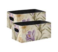 BCFHRGT Manitoba Prairie Crocus Beauty Summer Flower Cajas de almacenamiento grandes, paquete de 2 cajas de almacenamiento plegables para estantes, armario, libros