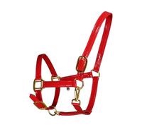 BCIOUS Caballo de cuero elegante de alta calidad con hebillas de aleación, impermeable y resistente al olor, para ecuestres, deportes, ecuestres, caballo, cabeza