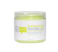 BCL SPA Dead Sea Salt Soak 454gr