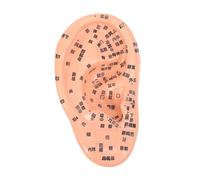 BCOATH 1pieza Modelo De Acupuntura De Oído Ergonómico Etiquetas Claras Para Aprendizaje De Meridianos y Puntos De Acupuntura Herramienta Didáctica Para Acupunturistas y Estudiantes