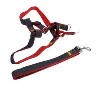 BCOATH Arnés para Perros Pequeños de Tela Vaquera Resistente, Correa Ajustable de 2,5 Cm X 120 Cm en Rojo, Juego de 2 Piezas para Paseo Cómodo y Seguro de Mascotas Pequeñas
