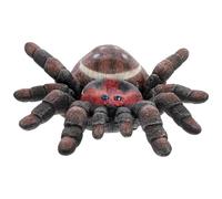 BCOATH Marioneta Mano Araña Plástica Simulación Modelo Realista Juguete Educativo para Adultos